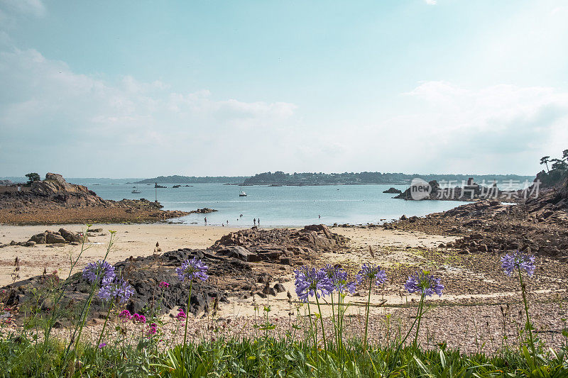 在法国布列塔尼Côtes d'Armor的Bréhat岛在夏天